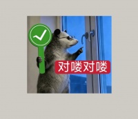 要是有人在我备孕的时候，告诉我这些就好了！