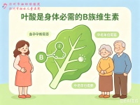 备孕、孕期必看：叶酸代谢基因检测到底查什么？
