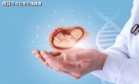厦门三代试管机构花笙生殖分享：为啥夫妻在试管备孕时也同样需要补充足量的叶酸?