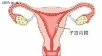 厦门三代试管中心林群凡主任分享：女性子宫内膜有厚或薄，一般多少是正常！