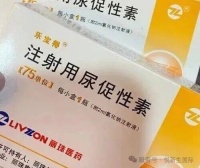 卵子质量决定试管结局？这样调理提升好孕概率