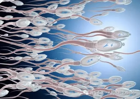 备孕前，别忽视这些伤精因素