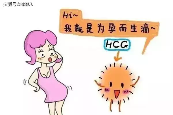 厦门三代试管中心林群凡分享：女性怀孕后第一张化验单，教你看懂HCG的作用。