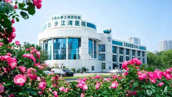 两次试管失败、备孕3年无果，她们在这里收获满满优质囊胚！