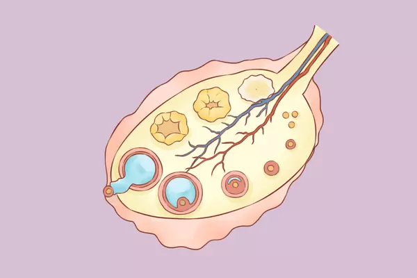 微信图片_2026-09-21_164045_684.png