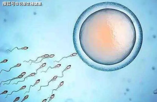 厦门三代试管机构花笙生殖分享：备孕时期男性怀疑自己精液异常？一直怀不上怎么办？