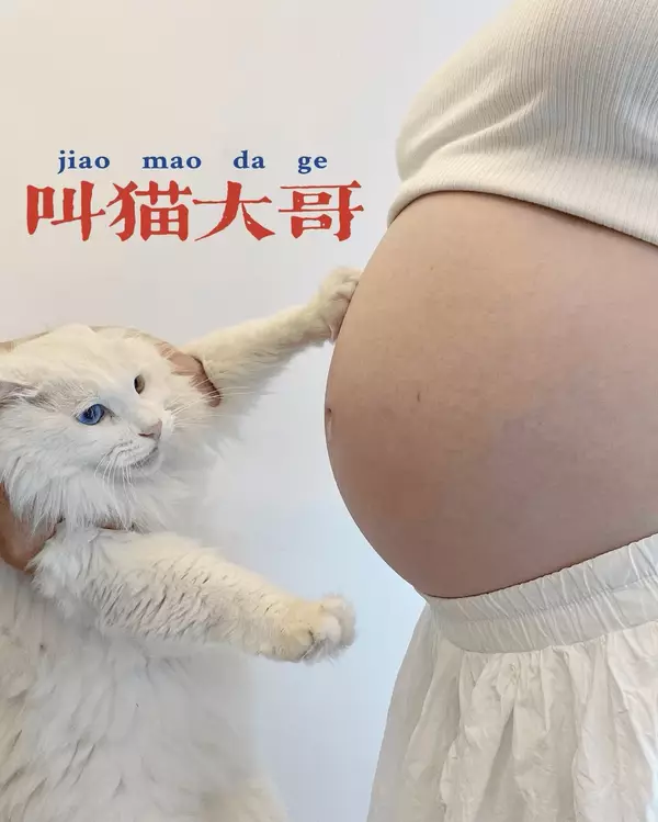 2026｜科学调整身心状态，走出备孕等待的误区
