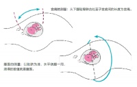 孕妈妈的宫高、腹围能反映胎宝宝的大小