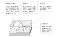 带早产宝宝回家如何做好家庭护理?